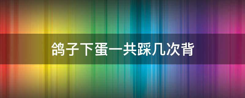 鸽子下蛋一共踩几次背（鸽子要踩背几次才能生蛋）