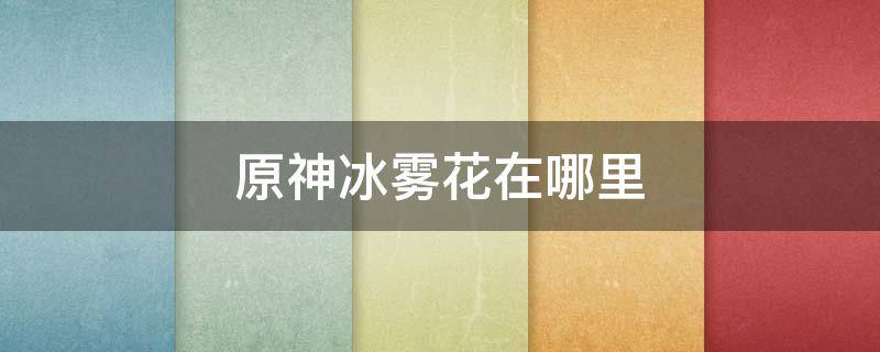 原神冰雾花在哪里（原神冰雾花在哪里有）