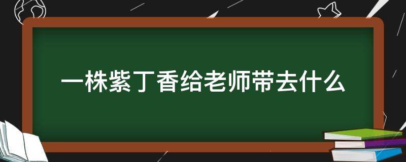 一株紫丁香给老师带去什么 这株紫丁香给老师带去了什么