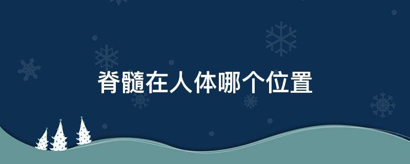 脊髓在人体哪个位置 脊髓在哪个部位