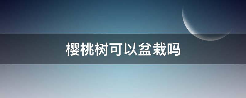 樱桃树可以盆栽吗 樱桃树可以做盆景吗