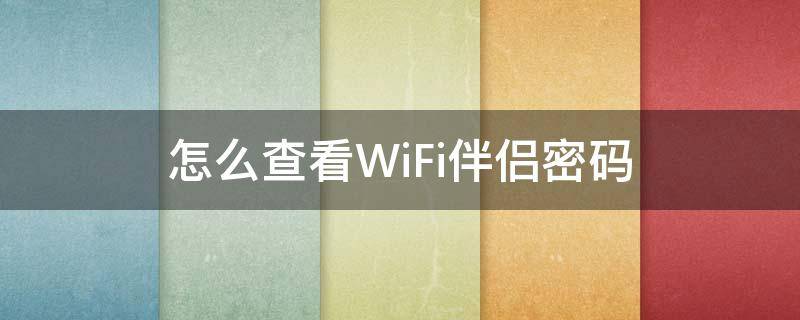 怎么查看WiFi伴侣密码 苹果手机怎么用wifi伴侣查看密码