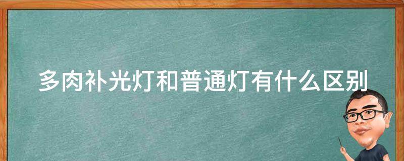 多肉补光灯和普通灯有什么区别（多肉补光灯多少w才有效）