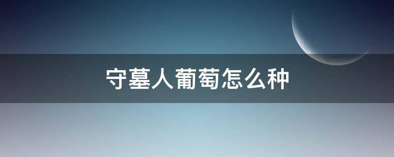 守墓人葡萄怎么种 守墓人葡萄种子哪里买