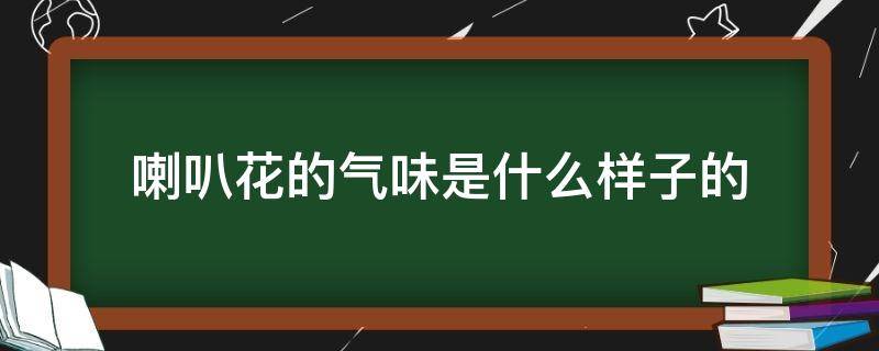 喇叭花的气味是什么样子的（喇叭花的气味像什么）