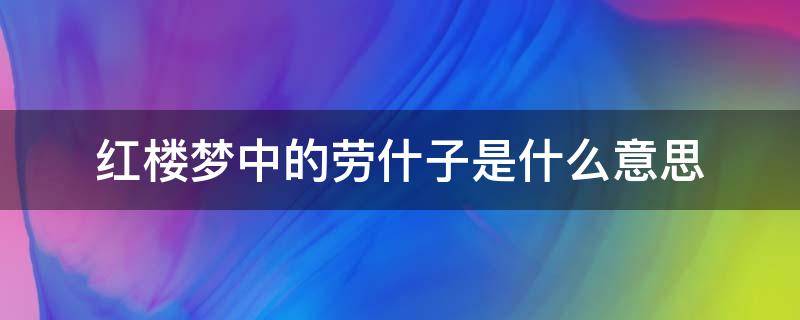 红楼梦中的劳什子是什么意思 红楼梦讲了什么