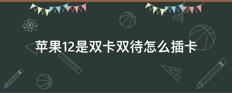 苹果12是双卡双待怎么插卡（苹果12是双卡双待怎么插卡图片）