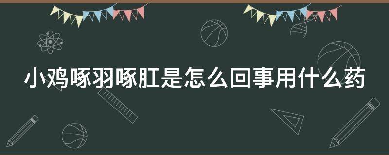 小鸡啄羽啄肛是怎么回事用什么药（小鸡啄羽啄肛怎么办）