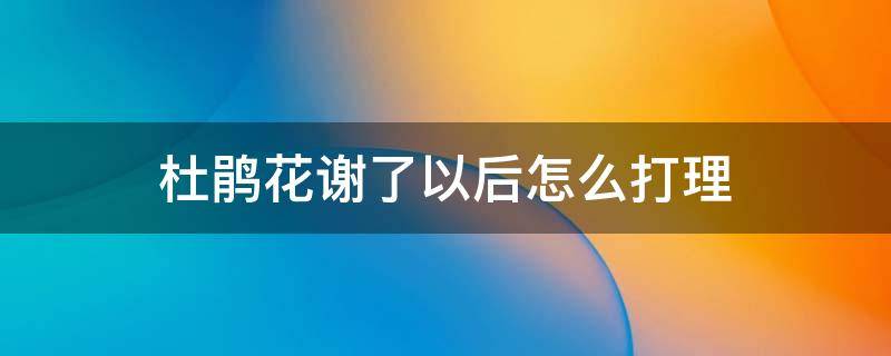 杜鹃花谢了以后怎么打理 杜鹃花开谢后怎么处理