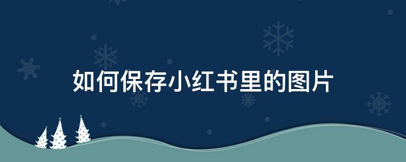 如何保存小红书里的图片（小红书上的图片怎样保存）