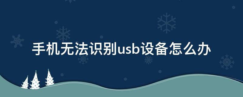 手机无法识别usb设备怎么办（手机无法识别USB）