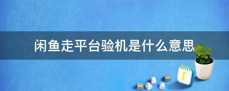 闲鱼走平台验机是什么意思（闲鱼上的走平台验机是什么意思）