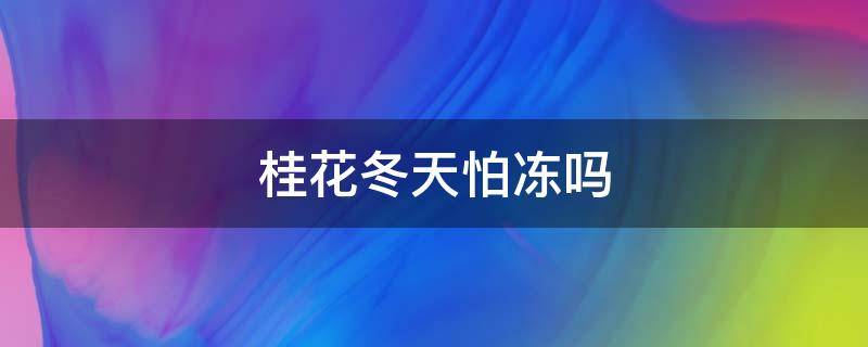 桂花冬天怕冻吗（桂花冬天能冻死吗）