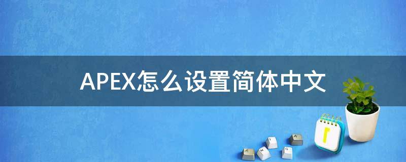 APEX怎么设置简体中文（apex怎么设置中文名）