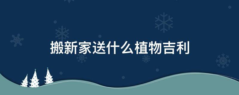 搬新家送什么植物吉利 搬家放什么植物吉利