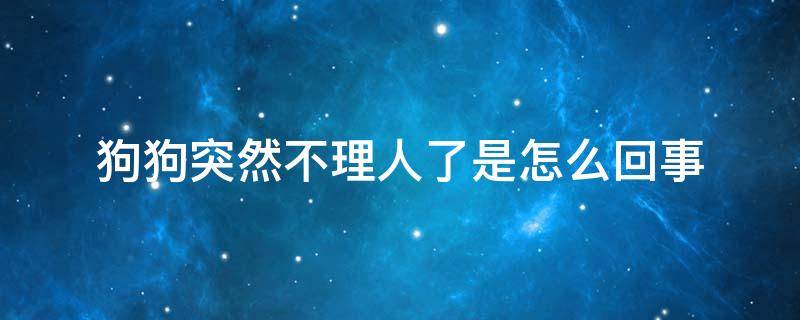 狗狗突然不理人了是怎么回事（如果狗狗突然之间不搭理人怎么办）