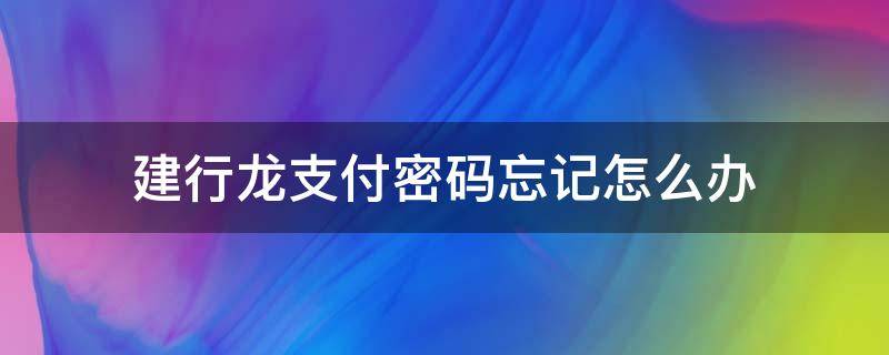 建行龙支付密码忘记怎么办 建行龙支付支付密码重置