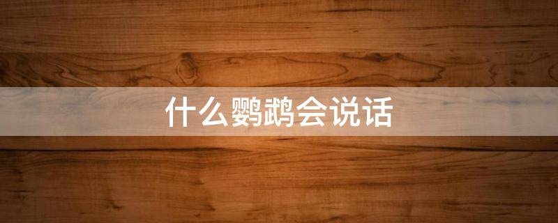 什么鹦鹉会说话（什么鹦鹉会说话又好养又便宜）