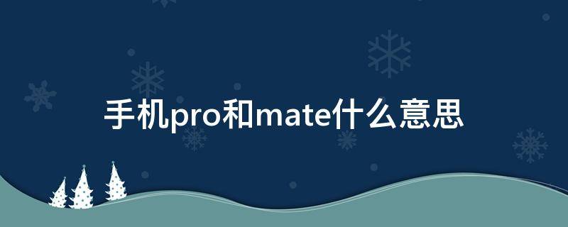 手机pro和mate什么意思 手机pro,mate,promate区别