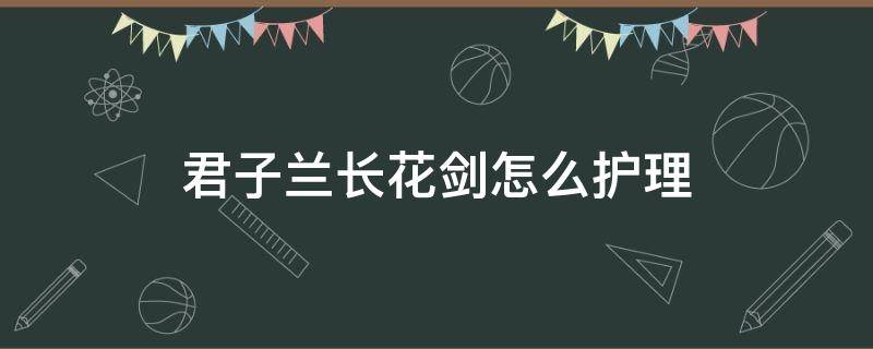 君子兰长花剑怎么护理 君子兰长出花剑怎么养护