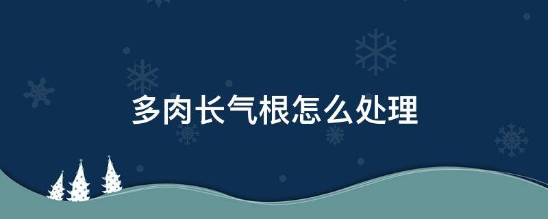 多肉长气根怎么处理（多肉长气根怎么回事）