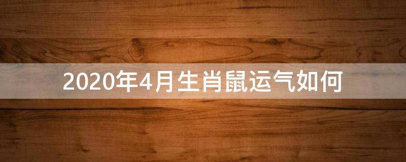 2020年4月生肖鼠运气如何 2020四月属鼠的运气怎么样