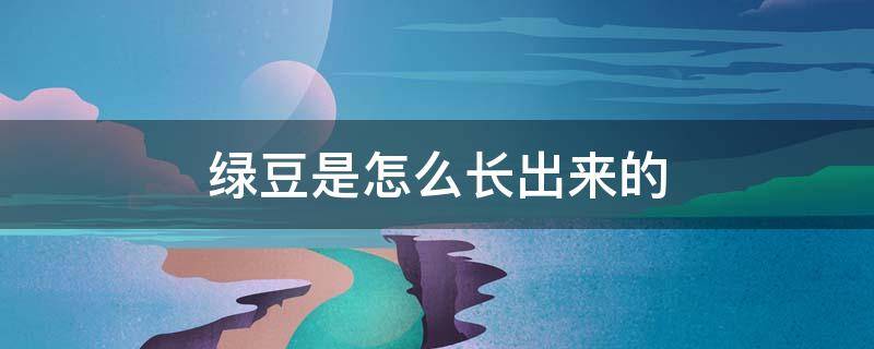 绿豆是怎么长出来的 绿豆是怎么长出来的图片