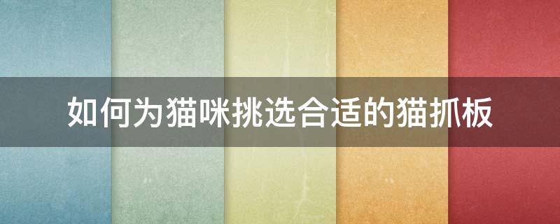 如何为猫咪挑选合适的猫抓板 猫咪抓板什么样的好