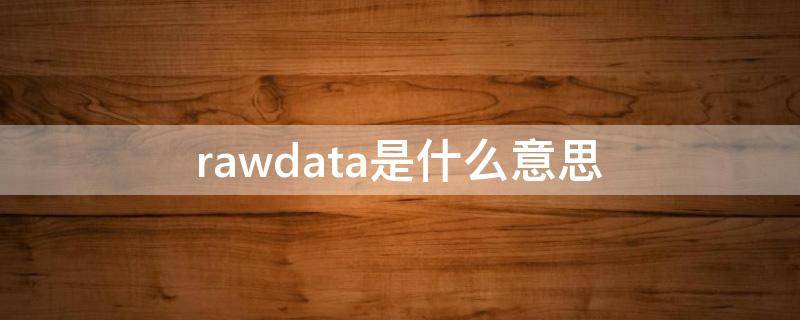 rawdata是什么意思 raw是啥意思