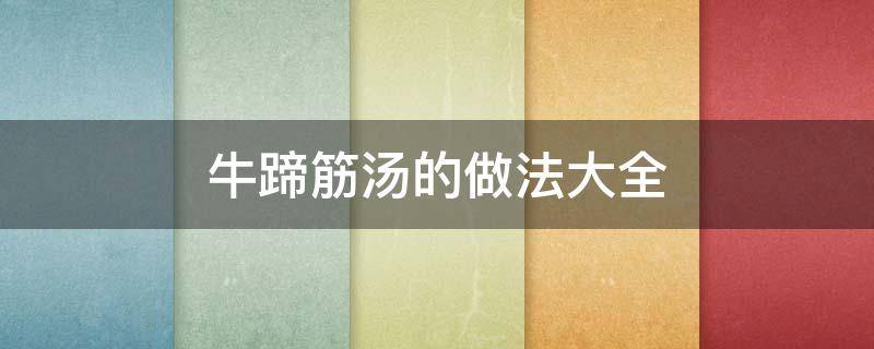 牛蹄筋汤的做法大全 牛肉蹄筋汤的做法