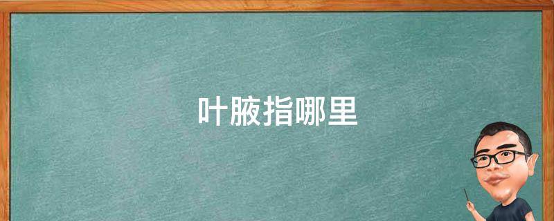 叶腋指哪里 叶腋是叶子哪个部位