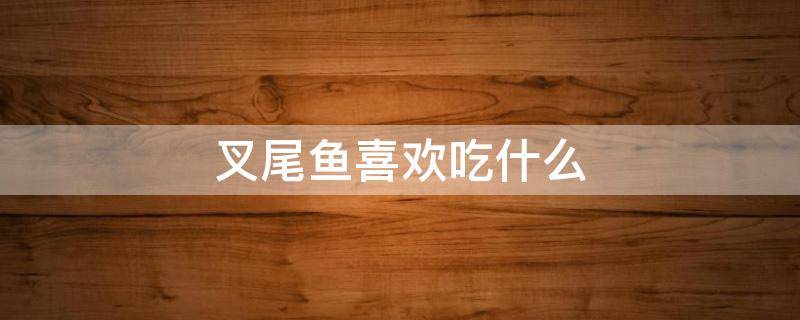 叉尾鱼喜欢吃什么 叉尾鱼喜欢吃什么东西