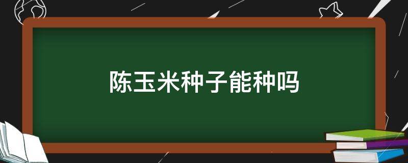 陈玉米种子能种吗（陈玉米种子能发芽吗）