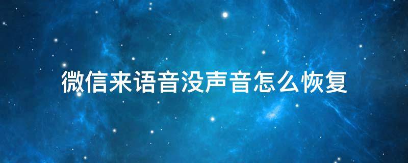 微信来语音没声音怎么恢复 微信来语音没声音怎么恢复苹果手机