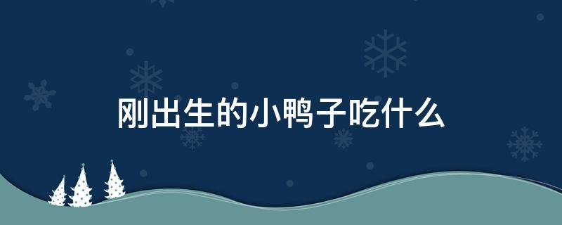 刚出生的小鸭子吃什么（刚出生的小鸭子吃什么健康）