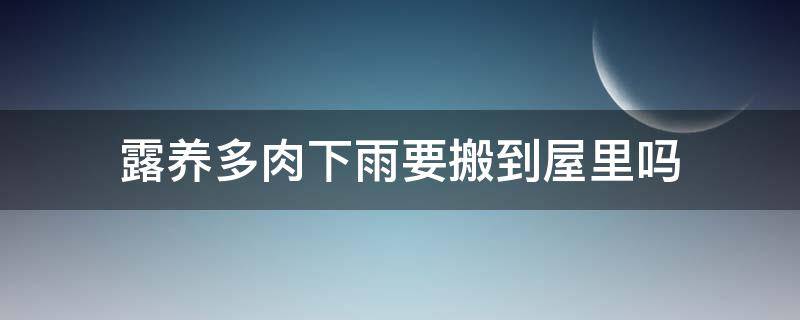 露养多肉下雨要搬到屋里吗（露养的多肉下雨要拿进来吗）