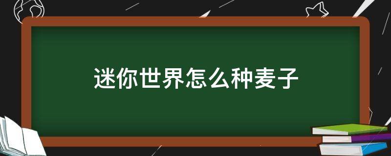 迷你世界怎么种麦子 迷你世界怎么种麦子2021