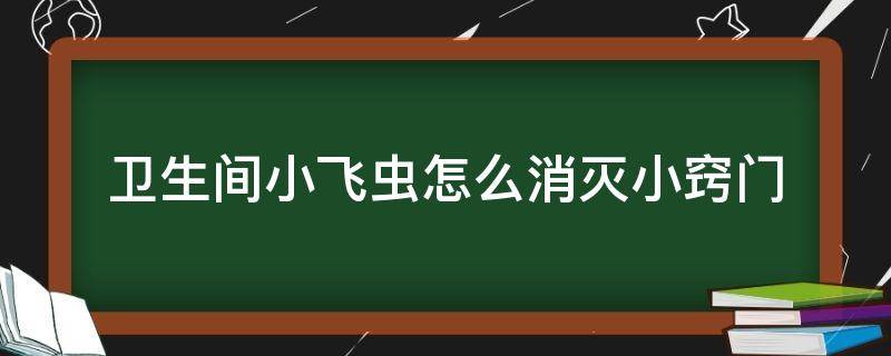 卫生间小飞虫怎么消灭小窍门（卫生间有小飞虫怎么消灭）