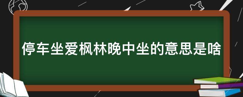 停车坐爱枫林晚中坐的意思是啥（停车坐爱枫林晚其中坐的意思是什么）