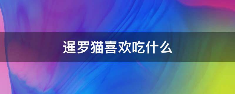 暹罗猫喜欢吃什么（暹罗猫喜欢吃什么东西）