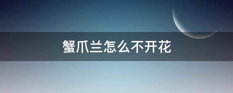 蟹爪兰怎么不开花 蟹爪兰为什么开不了花