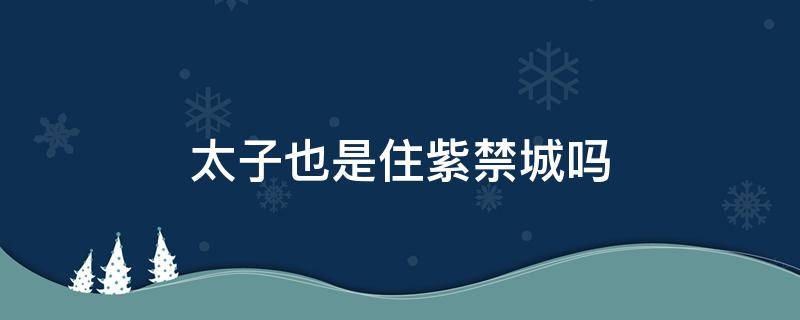 太子也是住紫禁城吗 太子住在紫禁城哪一间