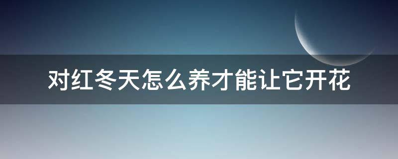 对红冬天怎么养才能让它开花 对红冬季怎么养