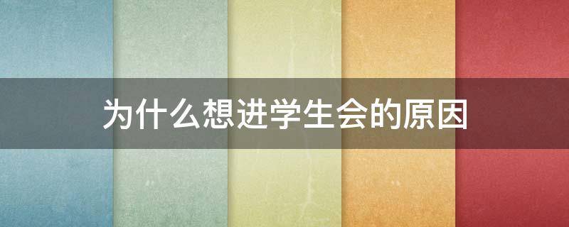 为什么想进学生会的原因（为什么想进学生会的原因600字）