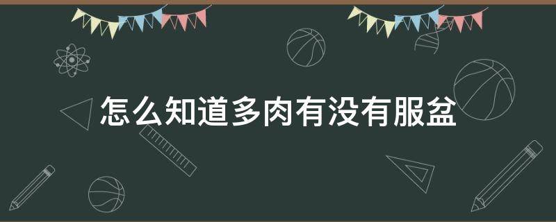 怎么知道多肉有没有服盆（多肉怎么看有没有服盆）