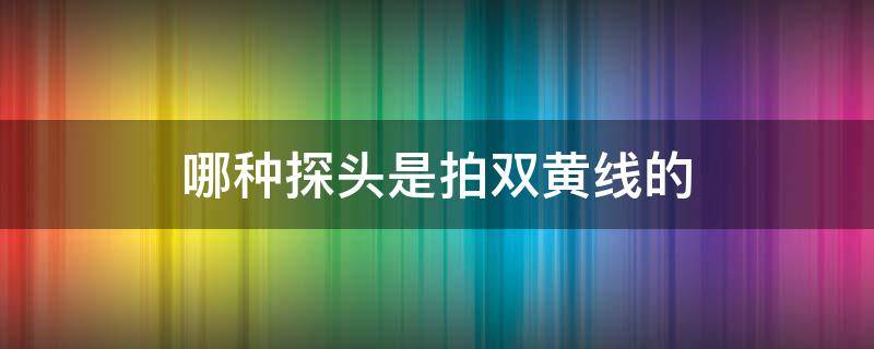 哪种探头是拍双黄线的 拍压双黄线的探头在头顶吗