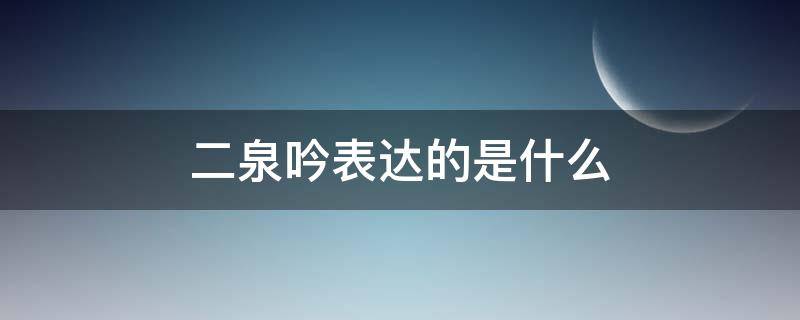 二泉吟表达的是什么（二泉吟表达的是什么意思）