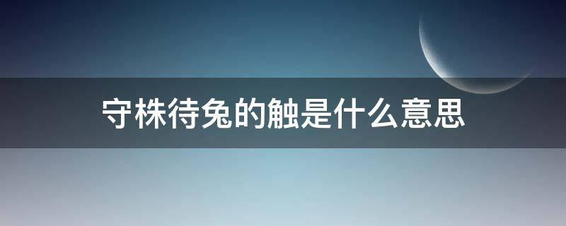 守株待兔的触是什么意思（守株待兔兔走触株的触是什么意思）