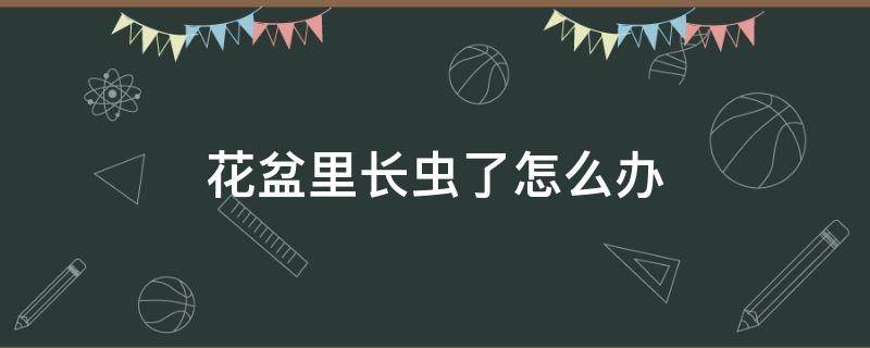 花盆里长虫了怎么办 花盆里长了虫子怎么办