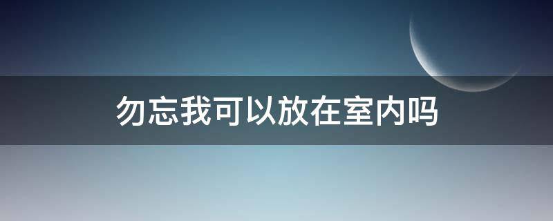 勿忘我可以放在室内吗 勿忘我可不可以放在室内
